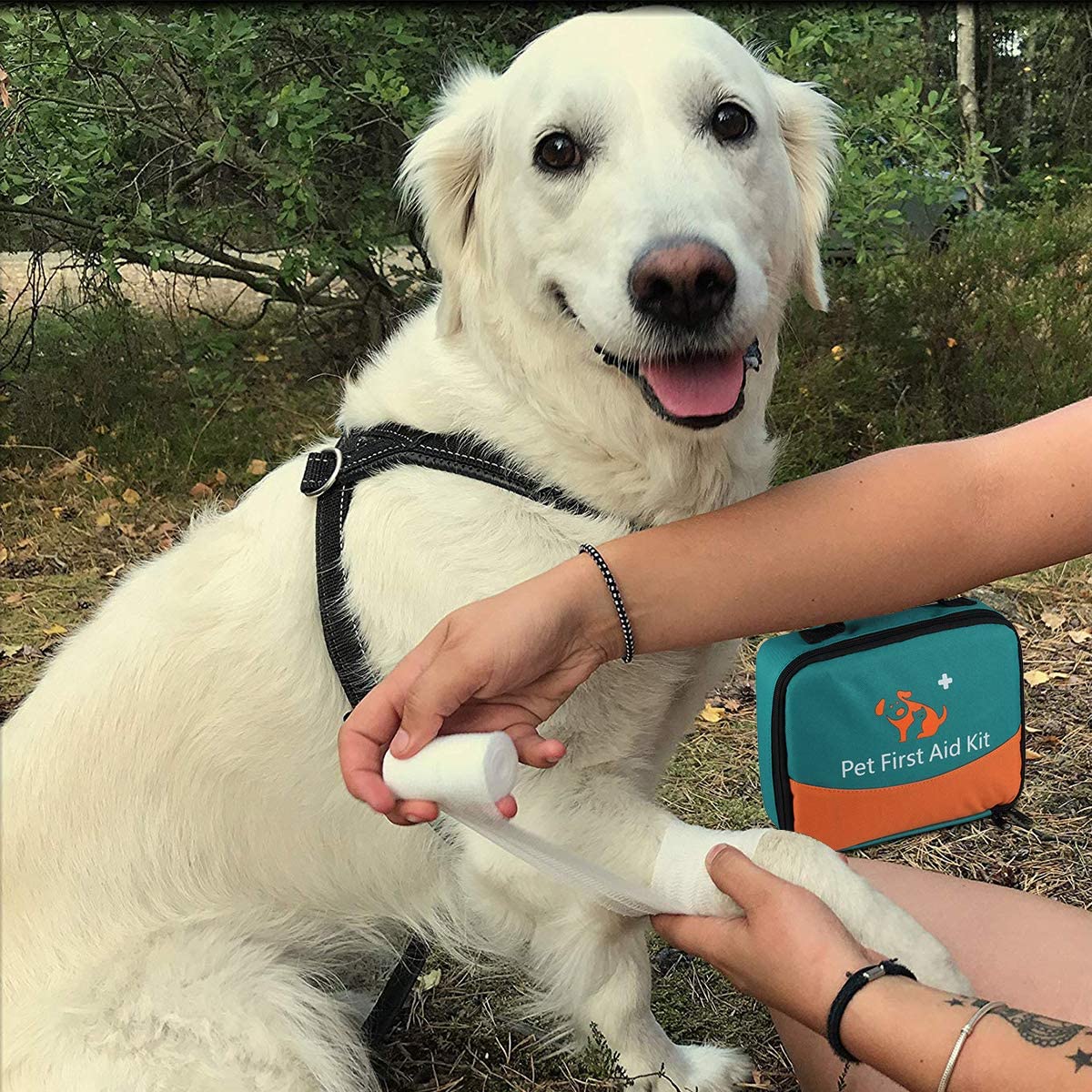 Pet First Aid Kit, Veterinary First Aid Bag for Dog Cat, Rabbit, Animal, with Otoscope - Image 2
