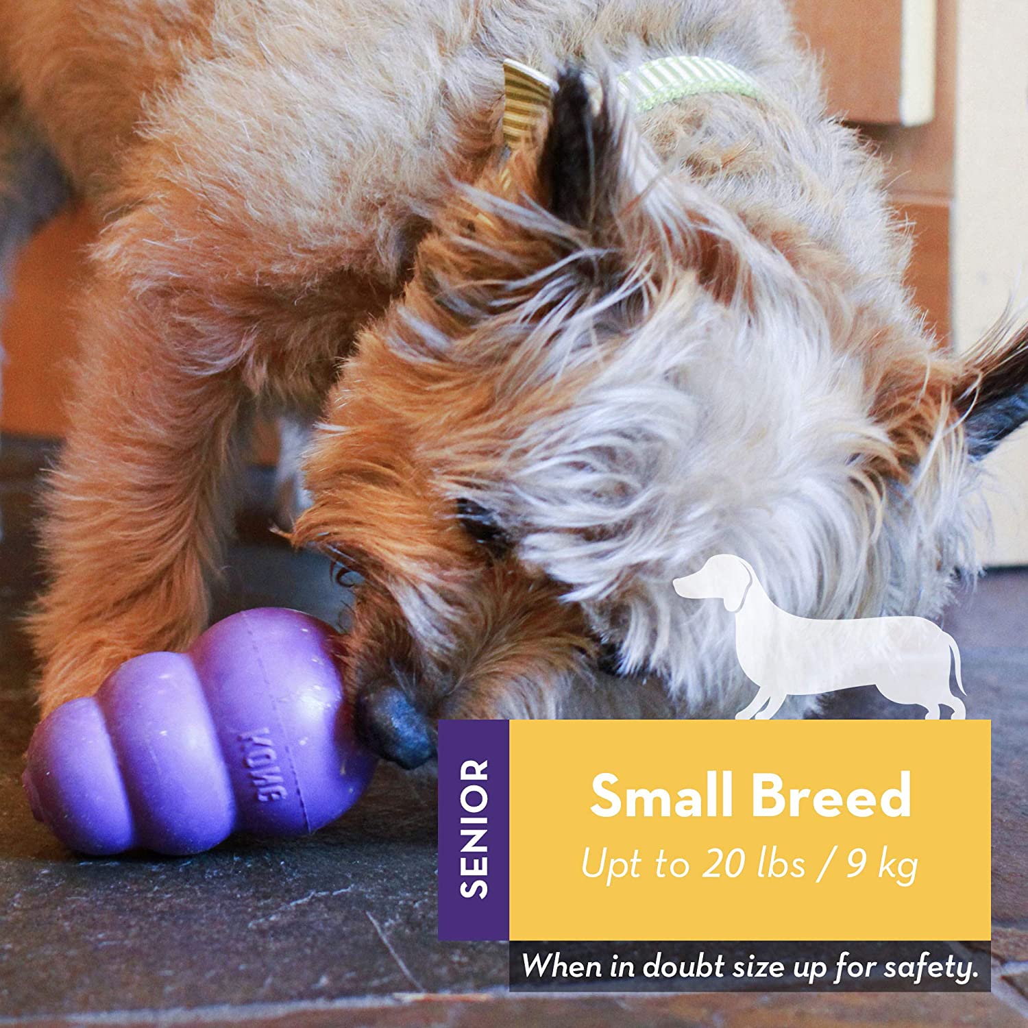 KONG Senior - Dog Toy with Gentle, Natural Rubber - Stuffable Treat Toy for Older Dogs - For Small Dogs, Purple, Small (Pack of 1) - Image 2