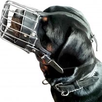 DINGO GEAR Dog Training Muzzle, Military K9 Agitation Metal Muzzle for Male Rottweiler S02999
