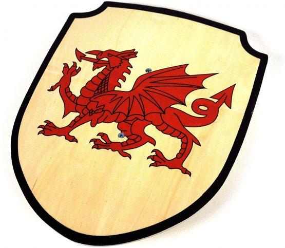 Nemesis Now Welsh Shield Toy 35cm Red - Image 2