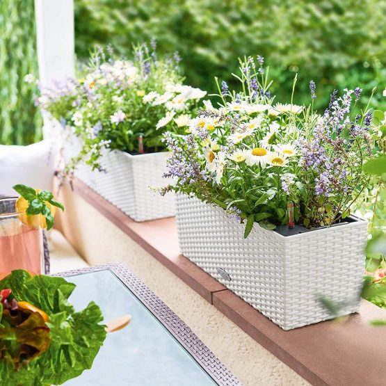 Lechuza BALCONERA Cottage 50 Self Watering Planter Indoor/Outdoor Flower Plant Pot Table and Window Box with Drainage Hole and Plant Substrate Poly-Resin H19 L50 W19 cm Granite - Image 4