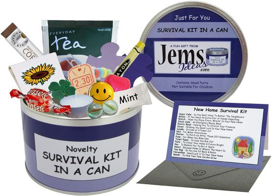 Survival Kit In A Can New Home Humorous Novelty Fun Gift - Congratulations New Home/House/Flat Present & Card All In One. Customise Your Can Colour. (Purple/Lilac)