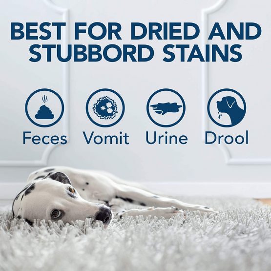 Simple Solution Pet Odour Destroyer | Enzymatic Cleaner Pro-Bacteria Cleaning Power | Targets Urine Stains and Odours - Image 4