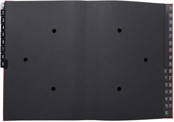 Exacompta Multipart File, A4 270 gsm, 32 Sections (labelled 1-31) - Red - Image 2
