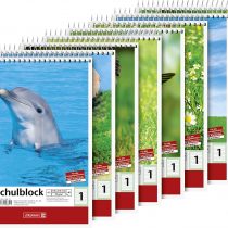 Brunnen 104198101 School Pad (A5, 40 Sheets, Lined, Ruling 1, Class 1)