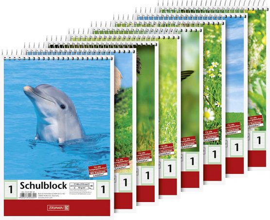Brunnen 104198101 School Pad (A5, 40 Sheets, Lined, Ruling 1, Class 1)