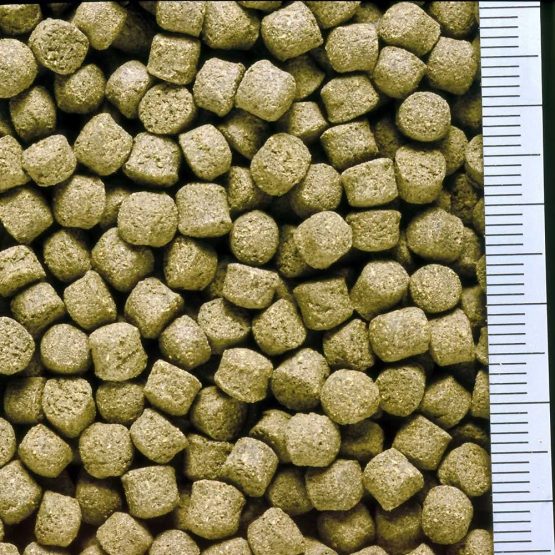 Hikari 3.5-Ounce Cichlid Excel Sinking Pellets for Pets, Mini - Image 2
