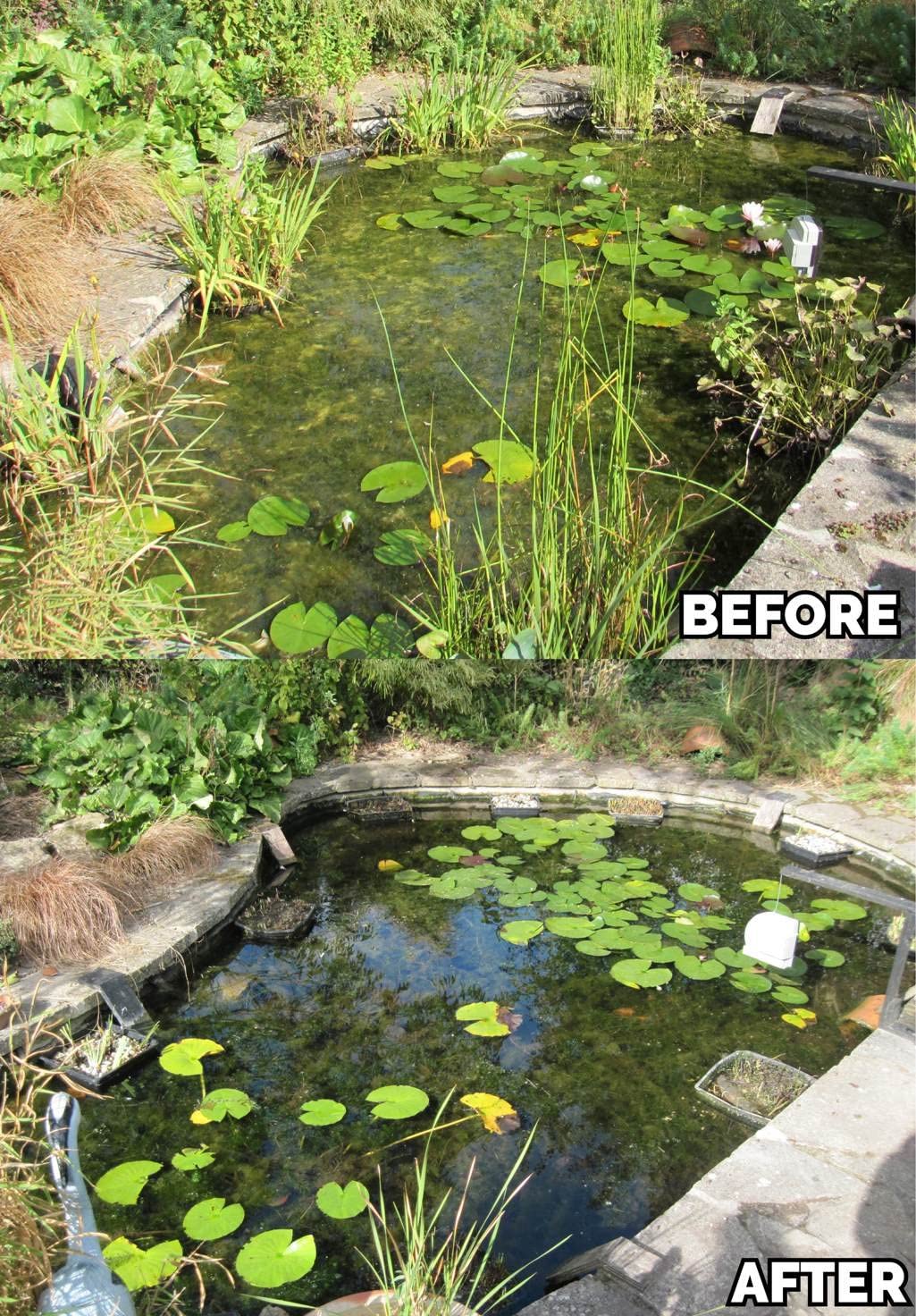 Envii Blanketweed Klear - Kills Surface Floating Blanket Weed - Treats 40,000 Litres (8,800 Gallons), 1kg - Image 3