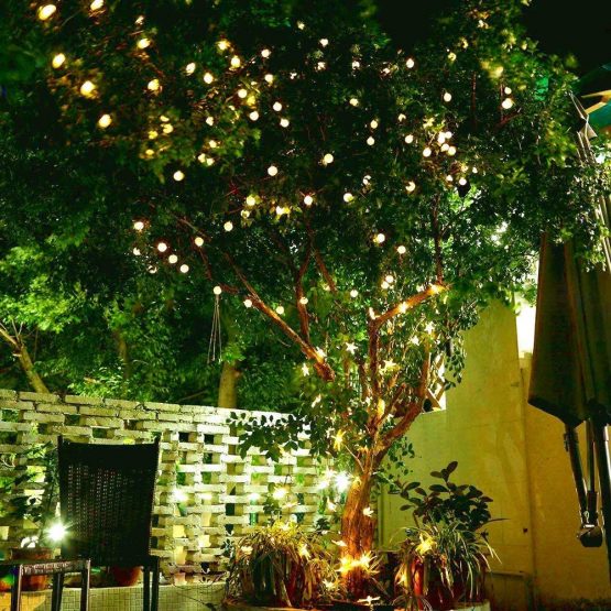 Solar String Lights Outdoor 60 LED, 8M/27Ft Solar Fairy Lights, 8 Modes Waterproof Solar Powered Globe Lights, Garden Lighting for Home, Yard, Party, Festival, Christmas, Decoration (Warm White) - Image 2