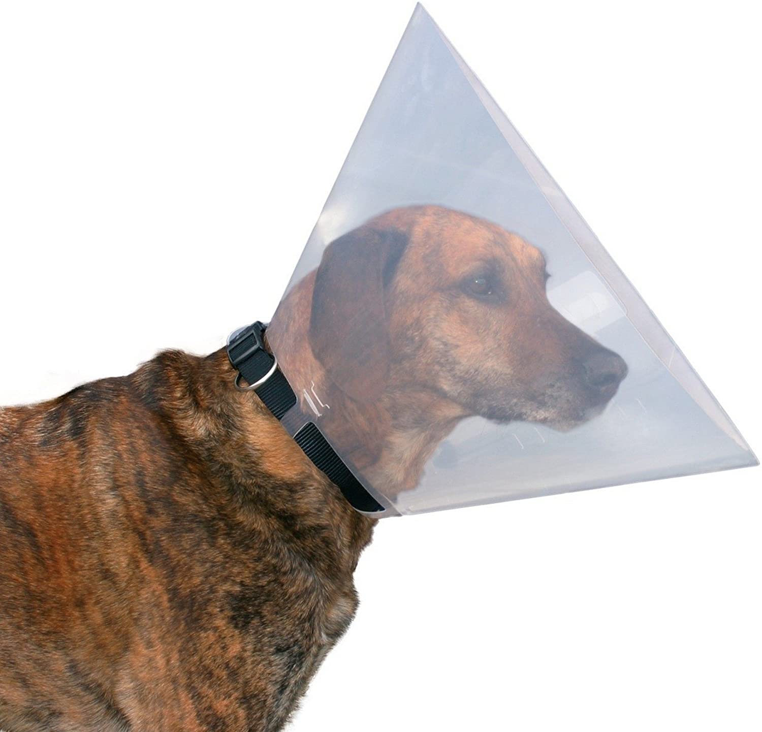 Trixie Protective Collar, Small, Transparent, Small (Pack of 1) - Image 2
