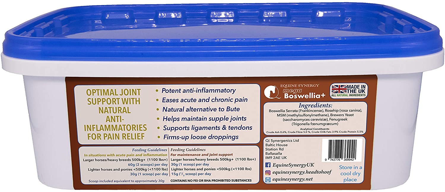 Equine Synergy MEGA BOSWELLIA + To Maintain Healthy Joints that are Free of Pain and Stiffness - Image 2