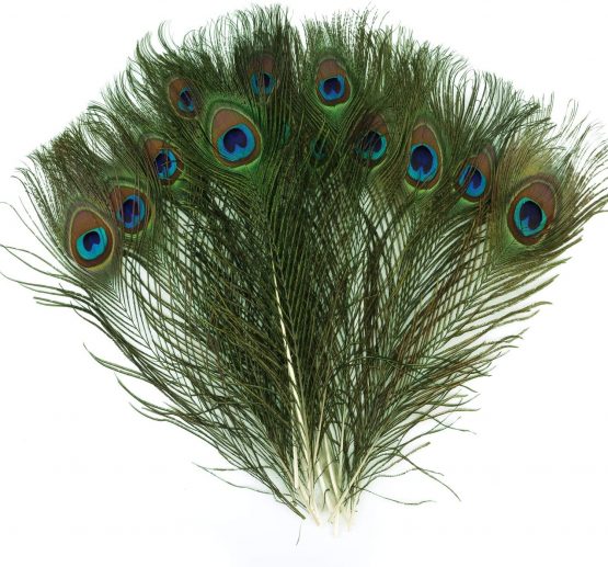 Mwoot 15pcs Natural Peacock Eye Feathers, Screen Green Tail Eye Feathers for DIY Craft,Costume,Wedding Holiday Party Decoration 11.02-12.6inch (28-32CM) - Image 2