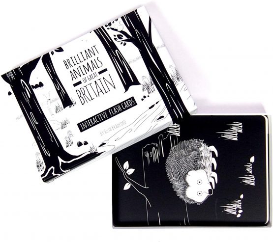 Black and White Baby Flash Cards for Toddlers - Animals of Great Britain Interactive Learning Children's Books - Toys for baby development - For Newborns, Preschoolers and Toddlers - 12 Flash Card Set - Image 3