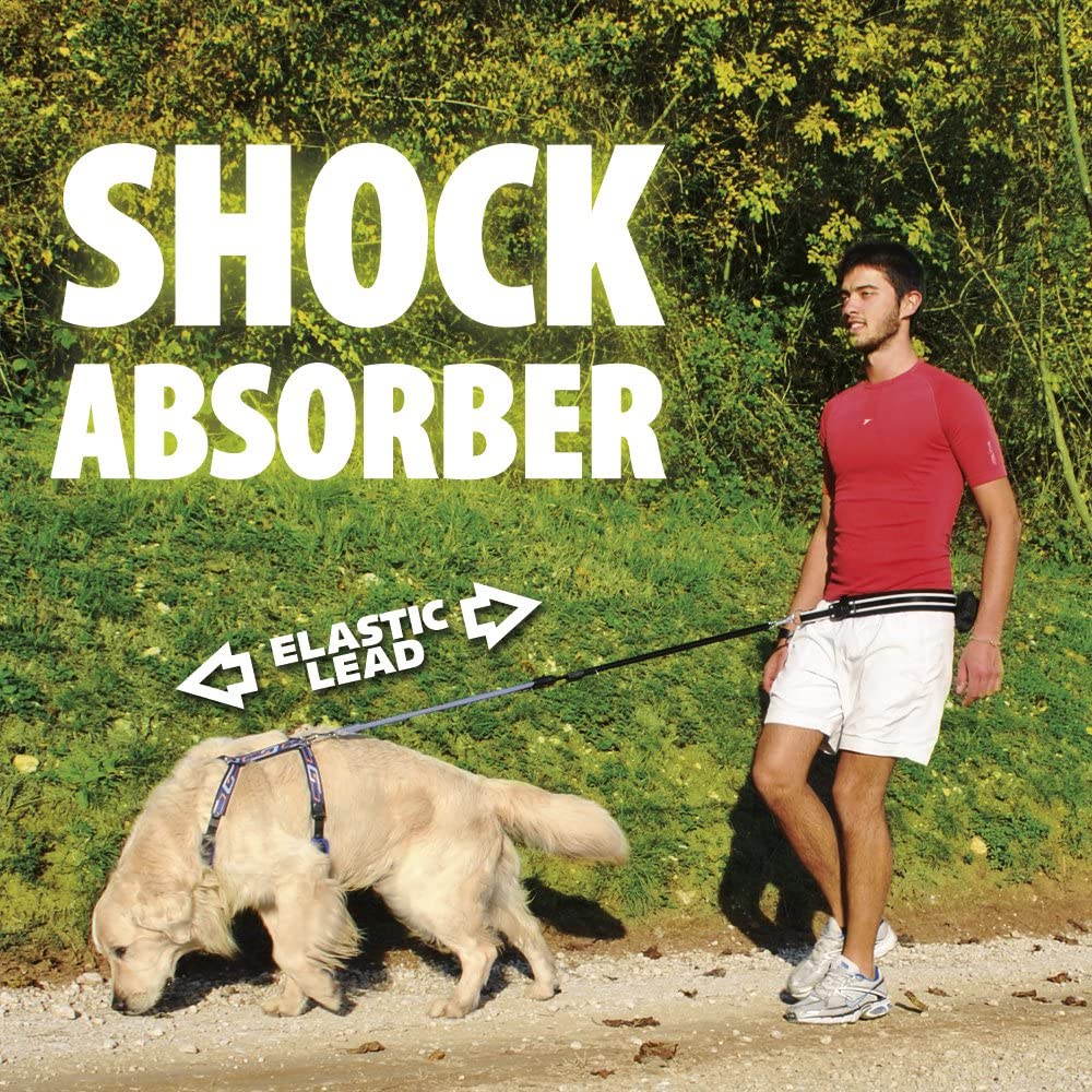 Ferplast ERGOCOMFORT FREE TIME Dog Lead with Running KIT, Reflective, Anti-Shock Elastic Lead, MATIC Technology - Image 2