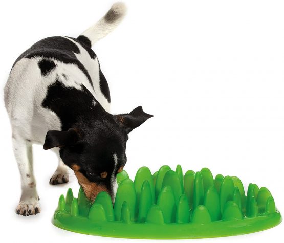 GREEN Interactive Feeder, Mini - Image 3