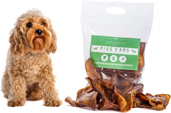Dragonfly Products Pigs Ears For Dogs Large 5, 12 or 25 pieces British UK Natural Raw Healthy Treat Grade A Premium Whole Pork Ear Chew (12) - Image 3