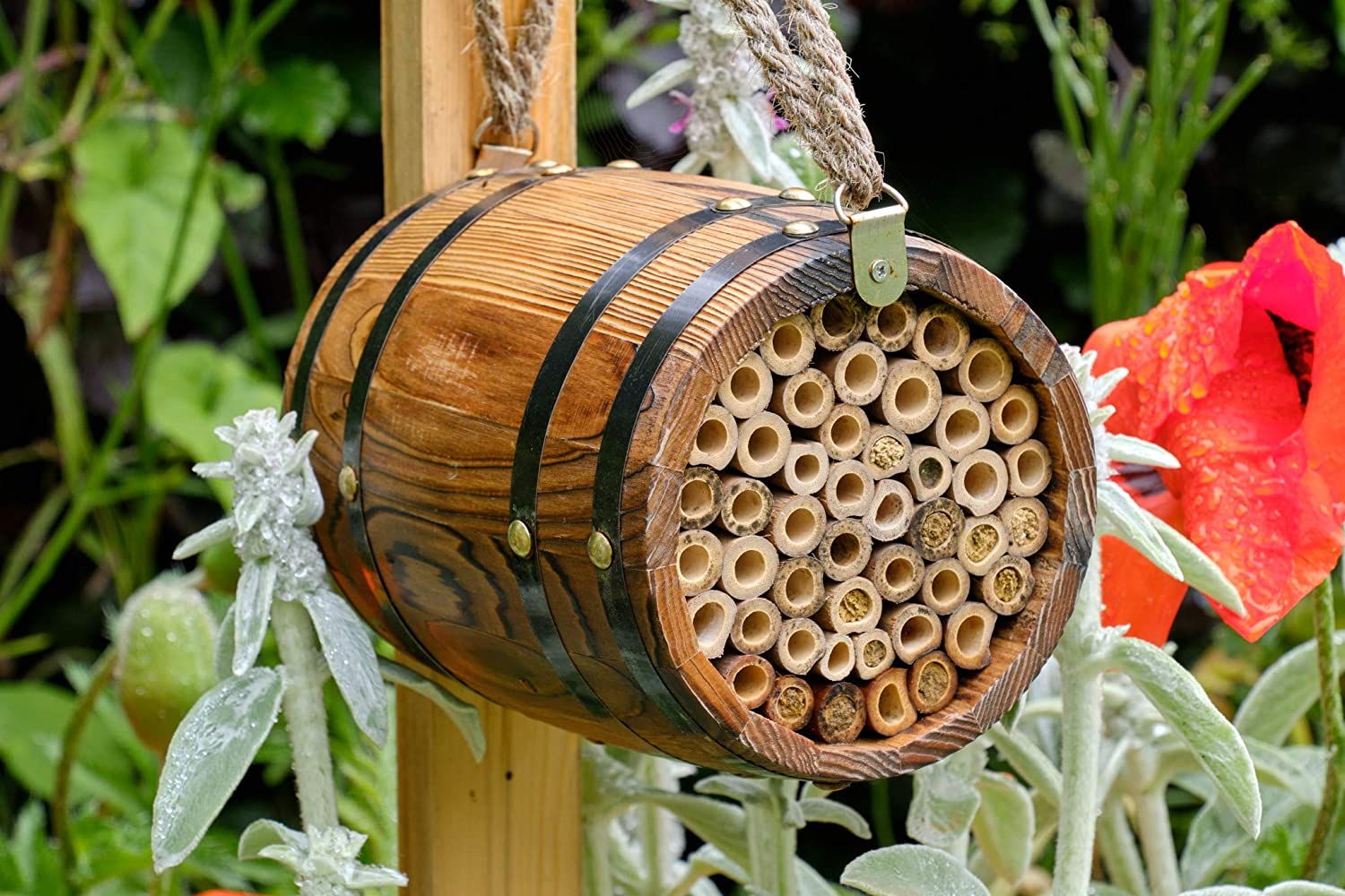 Wildlife World BBAR Barrel for Solitary Bees Brown - Image 3
