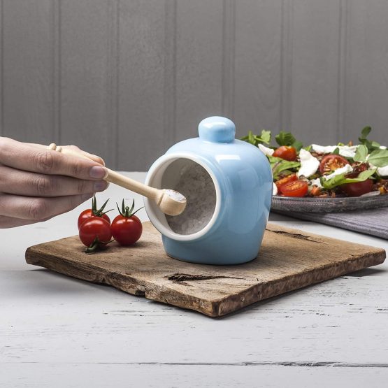 WM Bartleet & Sons 1750 T345B Traditional Porcelain Small Pig with Wooden Salt Serving Spoon-Blue - Image 2