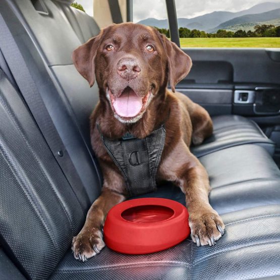 Kurgo No Spill Dog Travel Bowl, Splash Free Wander Water Bowl - Red - Image 4