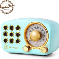 Retro Radio Bluetooth Speaker, Vintage Radio- Greadio FM Radio With Old fashioned Classic Style, Strong Bass Enhancement, Loud Volume, Bluetooth 4.2 Connection, TF Card Slot and MP3 Player (Blue)