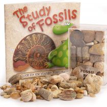 Fossil Box with Study of Fossils Booklet