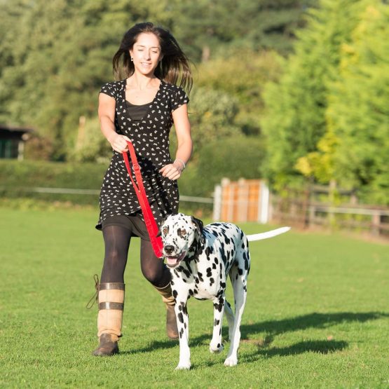 Halti Training Lead for Dogs, Dog Lead to Stop Pulling on Walks, Available in Sizes Small and Large, Large, Red - Image 4
