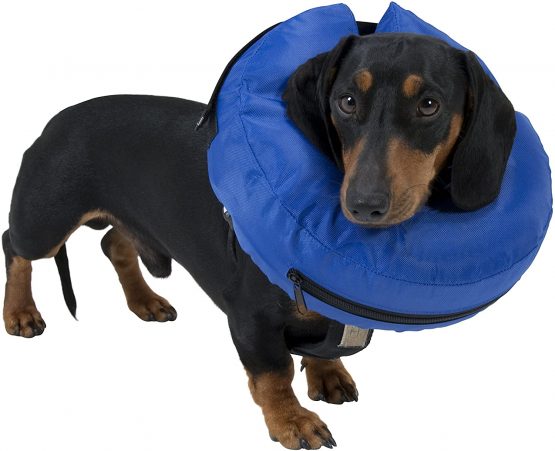 Buster Inflatable Collar, XS - Image 2