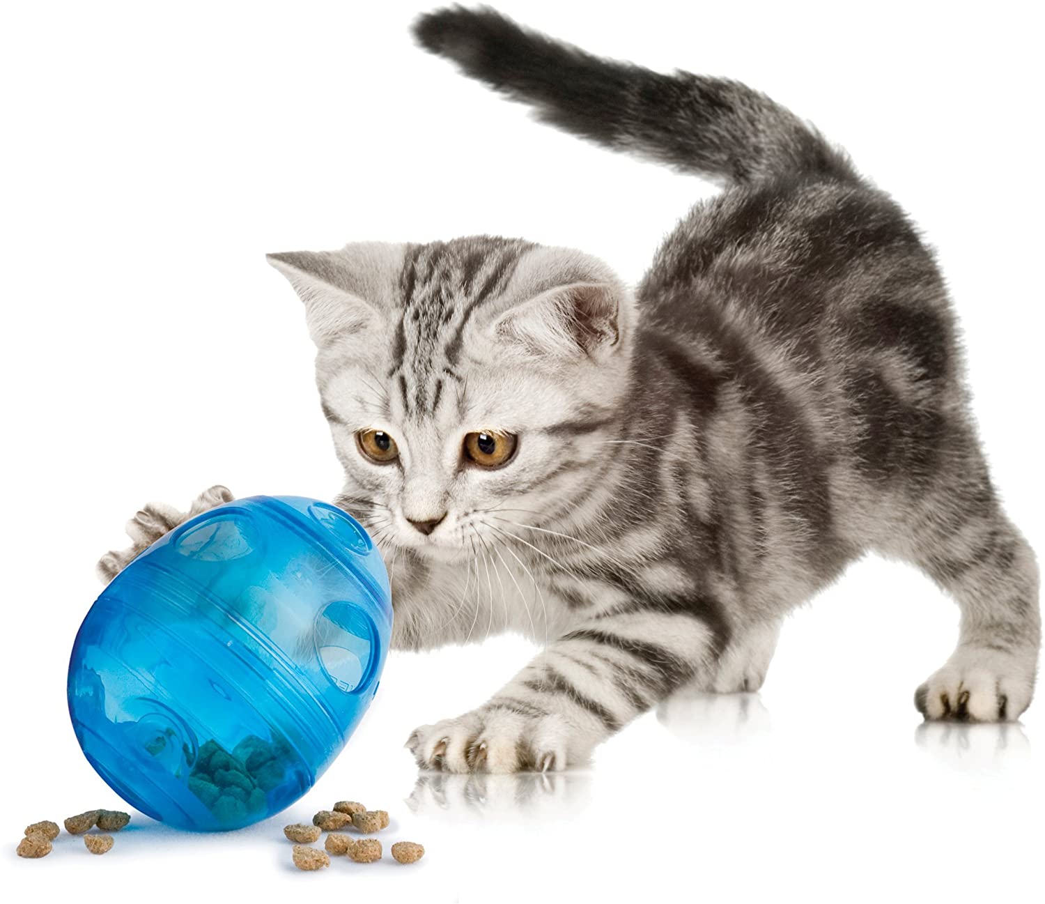 Premier PetSafe Funkitty Egg-Cersizer Cat Toy, Bllue, 24 Count (Pack of 1) - Image 3