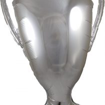 29 Inch Trophy Champions Foil Balloon