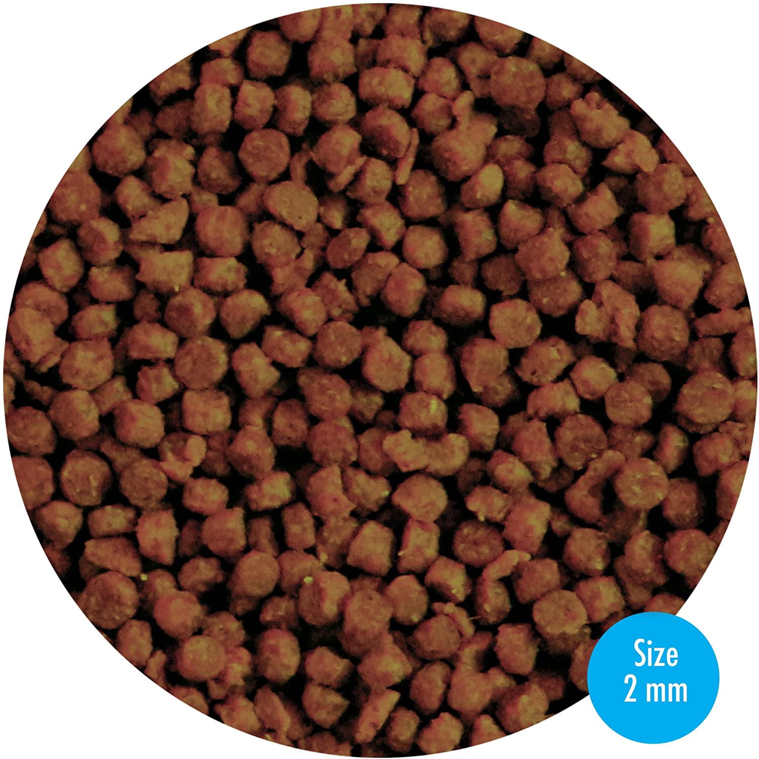 AQUARIAN Complete Nutrition, Aquarium Bottom Feeder Fish Food Sinking Pellets, 284g Bag, May Vary, 284 g (Pack of 1) - Image 2