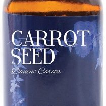 Mystic Moments | Carrot Seed Essential Oil - 100ml - 100% Pure