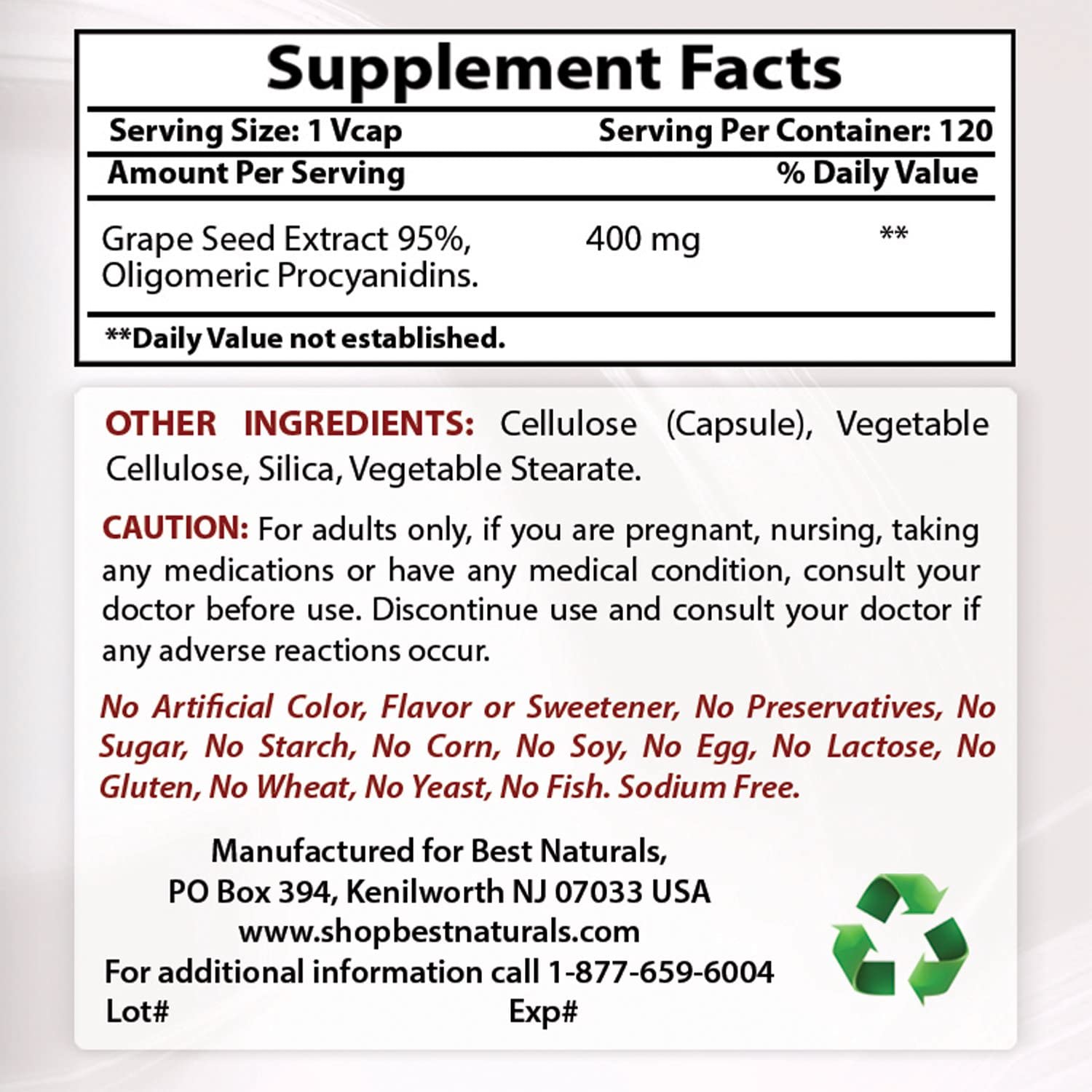 Best Naturals Grape Seed Extract 400 mg Veggie Capsule, 120 Count, 120 count (Pack of 1) - Image 2