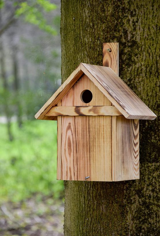 dobar 13075e Flamed Nesting Box with Approach Bar for Wild Birds 23.5 x 17.5 x 33 cm Pine, Brown - Image 4