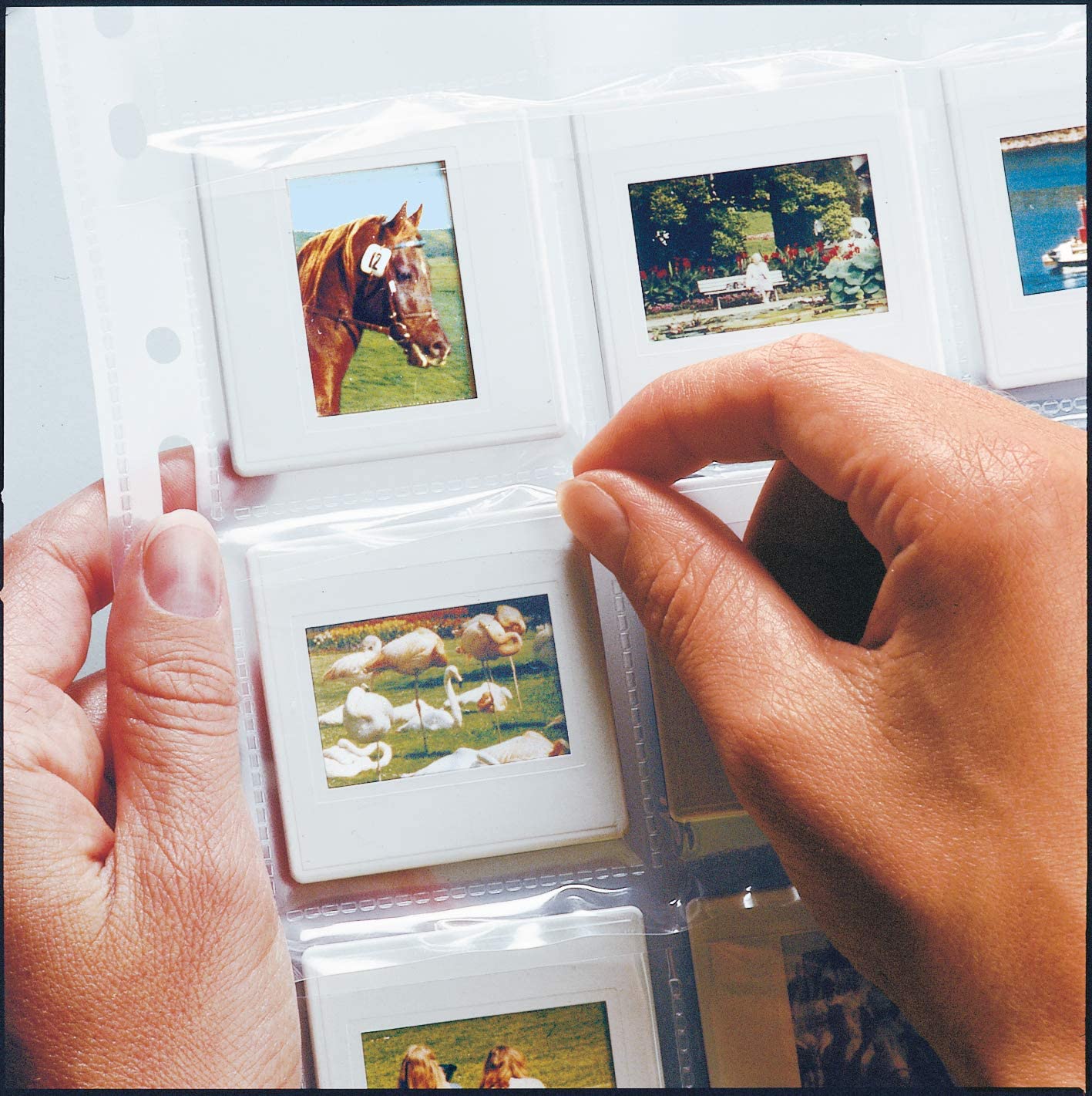 HERMA 7698 Slide Sleeves for Framed Slides Pack of 10, 5 x 5 cm, 20 Compartments, Clear/Matt, Visible on Both Sides - Image 4