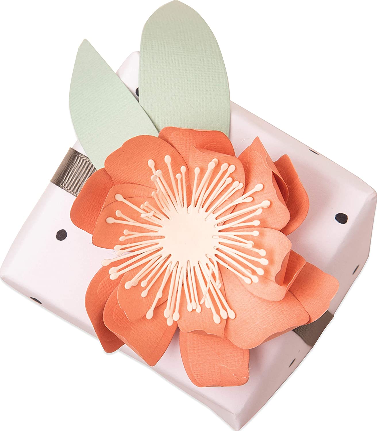 Thinlits Die Set 8 Pack 664390 Tulip by Jennifer Ogborn, Multi-Colour - Image 3