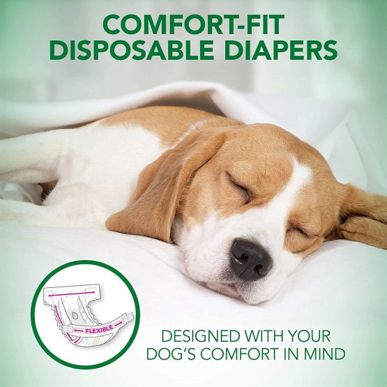 Vet's Best Comfort Fit Dog Diapers | Disposable Female Dog Diapers | Absorbent with Leak Proof Fit | Small 12pk - Image 3