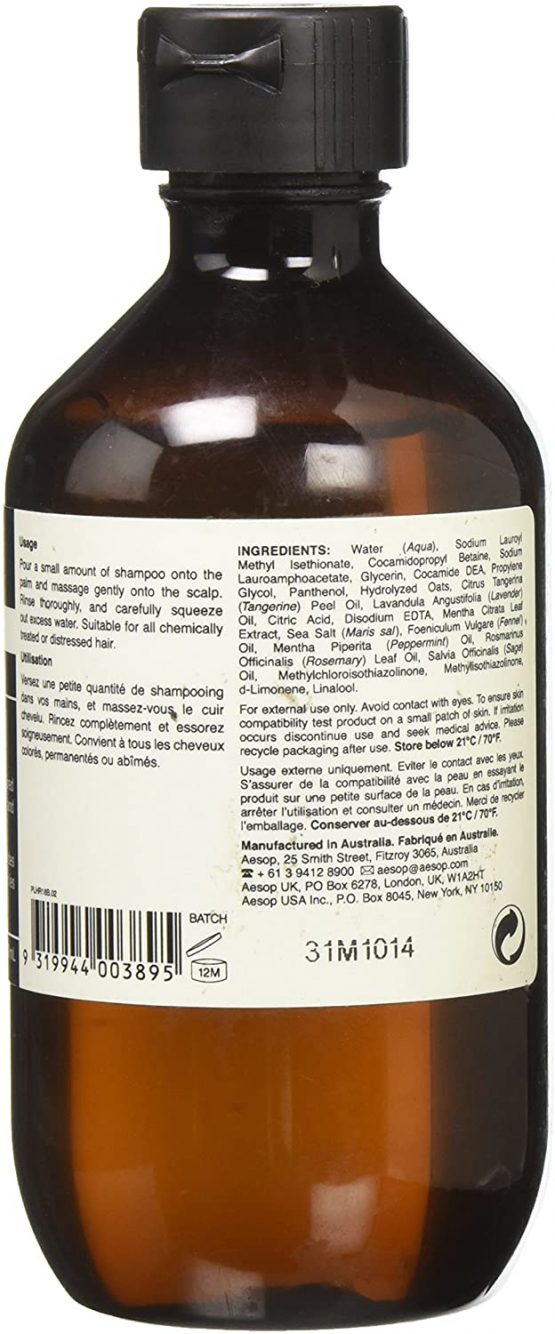 AESOP Aesop Colour Protection Shampoo BigaMart