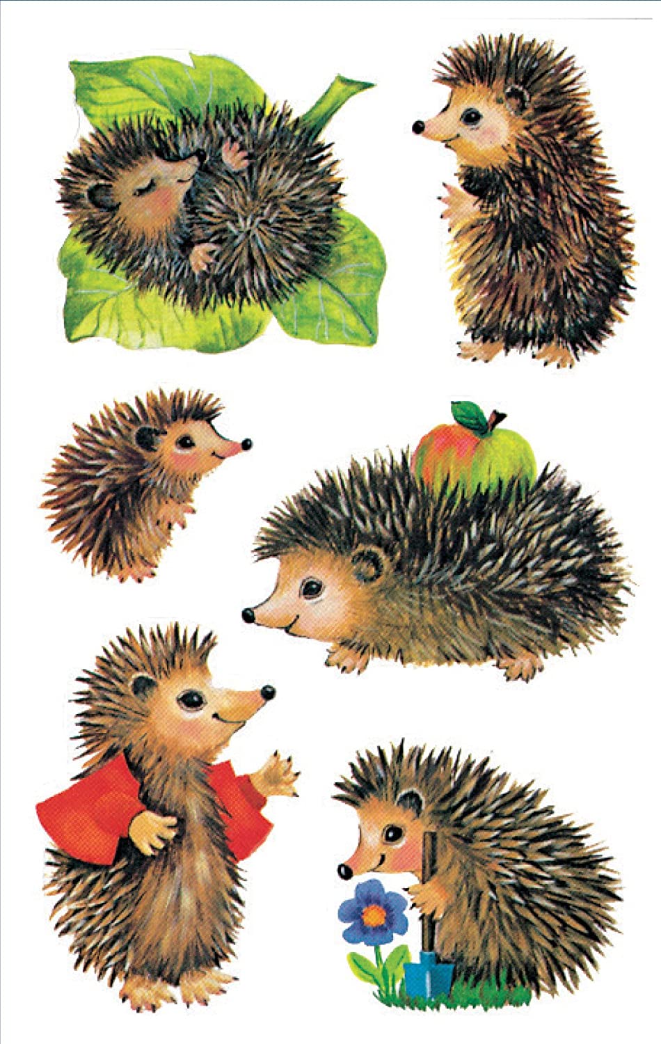 Naklejki Z Design Kids JEZ: 4306, Hedgehog