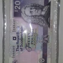 100 x Plastic Tamper Evident Note / Money / Bank / Cash Bags
