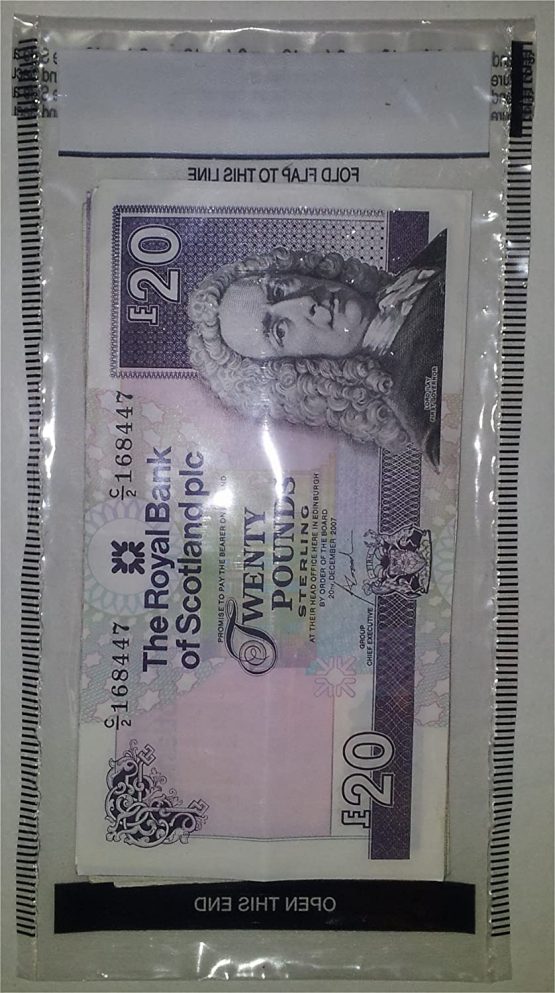 100 x Plastic Tamper Evident Note / Money / Bank / Cash Bags