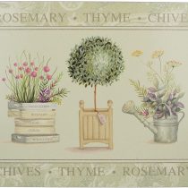 Creative Tops 5169665 Premium 4-Piece Set of Topiary Cork-Backed Placemats by, 40 x 29 cm (15¾" x 11½")