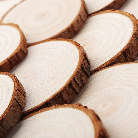 Fuyit Wood Slices 25 Pcs 8-9cm NO Hole Natural Unfinished Log Wooden Circles for Art Creation DIY Crafts Wedding Decorations Christmas Ornaments - Image 3