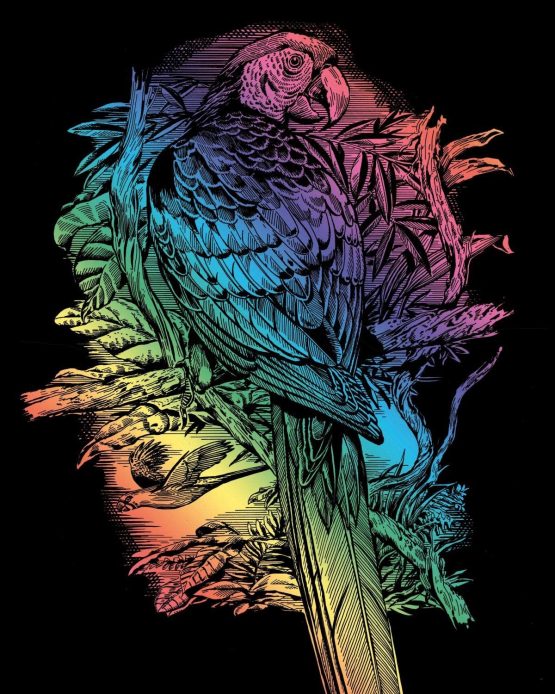 KSG - Artfoil Rainbow Parrot - Image 2