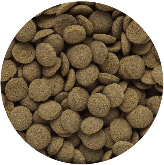 Hikari Sinking Wafers for Pets, 1.76-Ounce - Image 4
