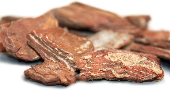 Komodo Forest Terrain Orchid Bark Chips, 12 Litre, Natural Terrain for Reptiles, Orchid Bark Chips, Bark Chips for Reptiles, Reptile Terrain, Reptile Bedding, Large Orchid Bark Chips - Image 3