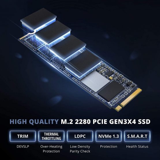 Pioneer 1T NVMe PCIe M.2 2280 Gen 3x4 Internal Solid State Drive (APS-SE22-1T) - Image 3