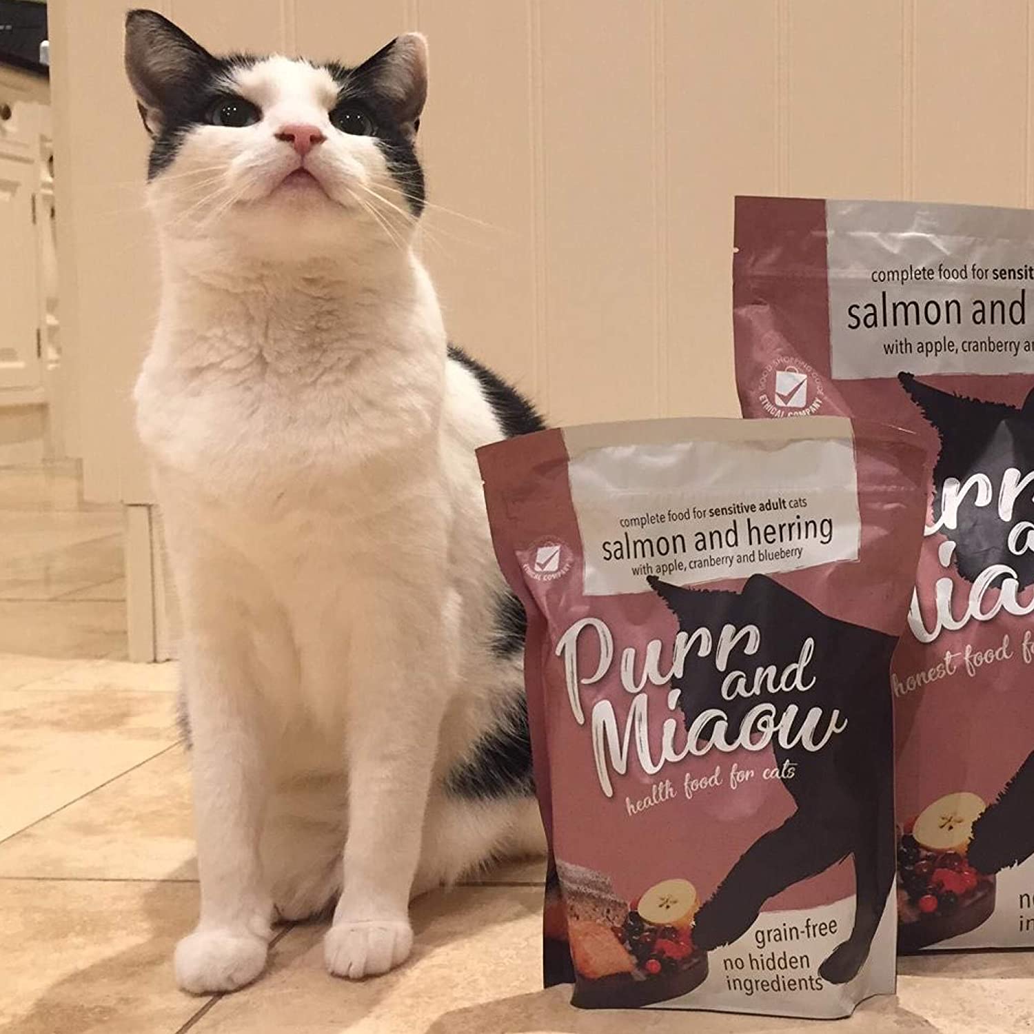 Purr & Miaow - Complete Dry Grain Free Sensitive Cat Food, Salmon & Herring, 1.5kg, 1.5 kg (Pack of 1) - Image 2