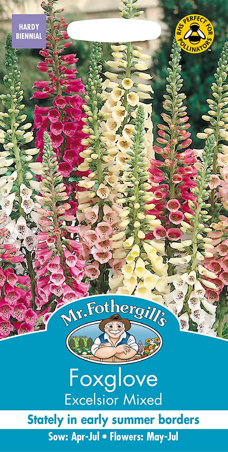 Mr Fothergill's Foxglove Excelsior Mixed