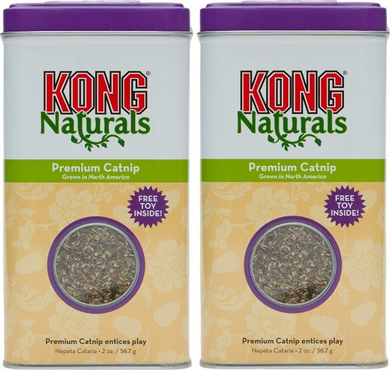 Kong Premium Catnip 4 oz 2 x 2 oz Tubs