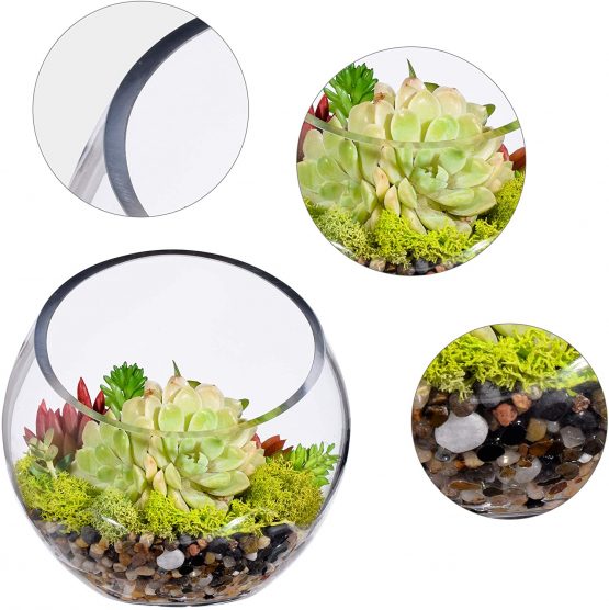 KNIKGLASS Clear Glass Sphere Slant Cut Bubble Bowl, Fish Bowl Vase/Plant Glass Terrarium/Candy Jar, Slant Cut Globe Vase Centerpieces, Round Flower Vase (7“ Tall 7“ Wide) - Image 3
